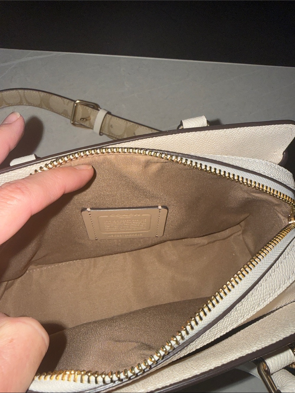 Coach Mini Darcy Carryall with Gold Hardware - Picture 3 of 11